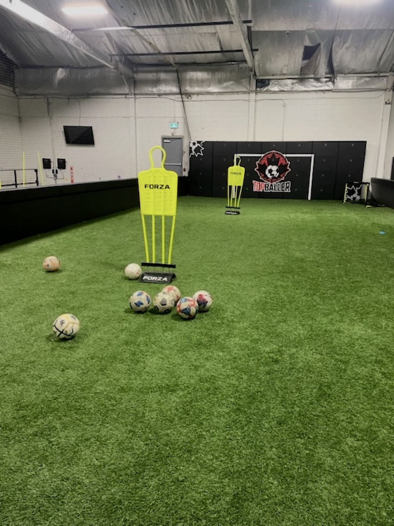Indoor training facility with balls and cones laid out on turf